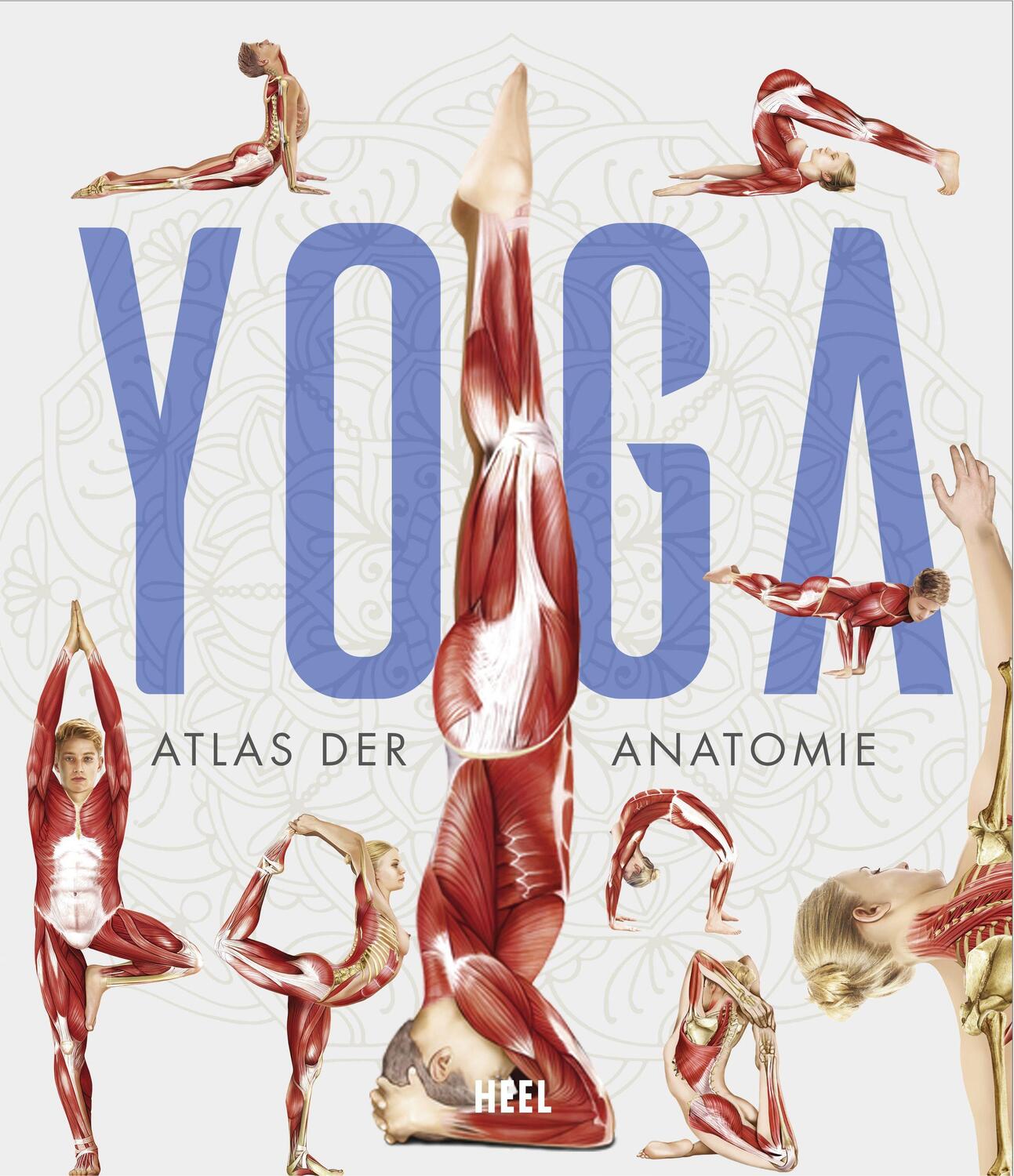 Cover: 9783966643849 | YOGA | Atlas der Anatomie | Buch | Deutsch | 2022 | Heel