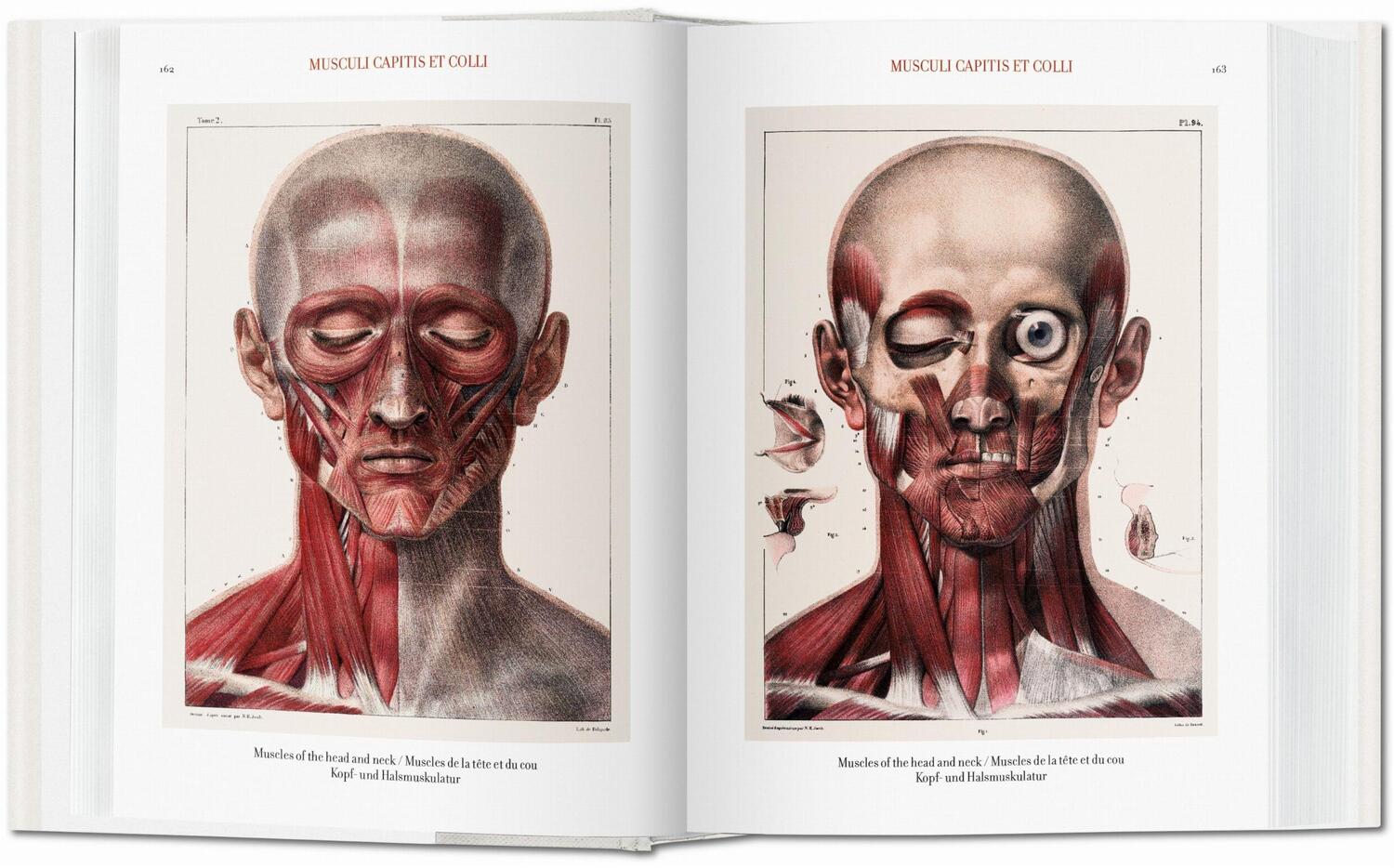 Bild: 9783836556620 | Jean Marc Bourgery. Atlas of Human Anatomy and Surgery | Minor (u. a.)