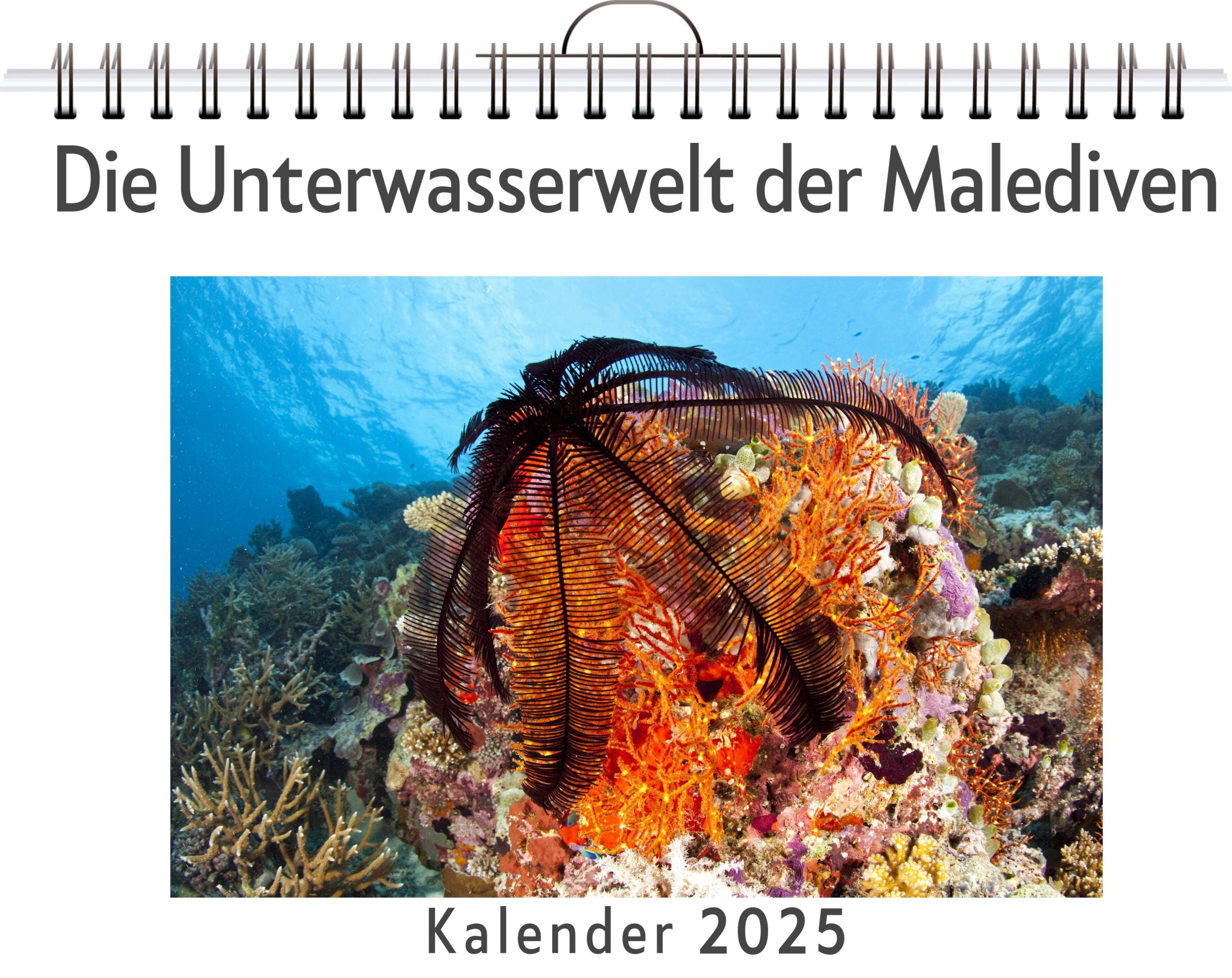 Cover: 9783759121059 | Die Unterwasserwelt der Malediven | Alexander Fuchs | Kalender | 14 S.