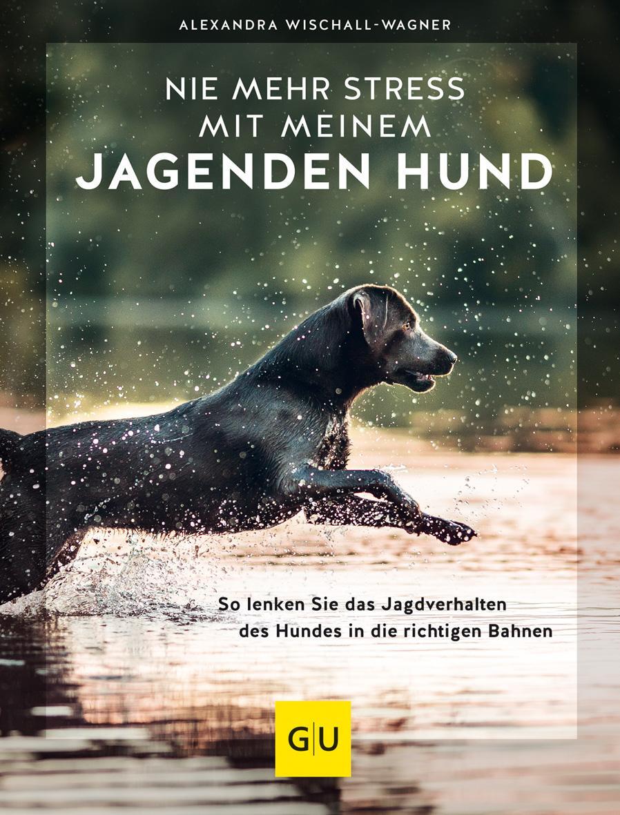 Cover: 9783833881947 | Nie mehr Stress mit meinem jagenden Hund | Alexandra Wischall-Wagner