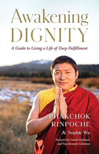 Cover: 9781645470885 | Awakening Dignity | A Guide to Living a Life of Deep Fulfillment