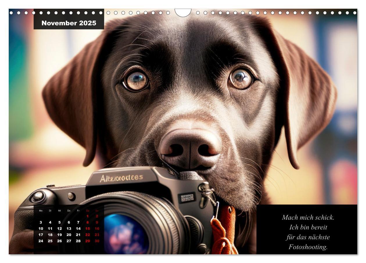 Bild: 9783435368143 | Der witzige Labrador-Kalender (Wandkalender 2025 DIN A3 quer),...