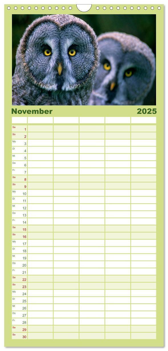 Bild: 9783457117606 | Familienplaner 2025 - Tiere des Waldes mit 5 Spalten (Wandkalender,...