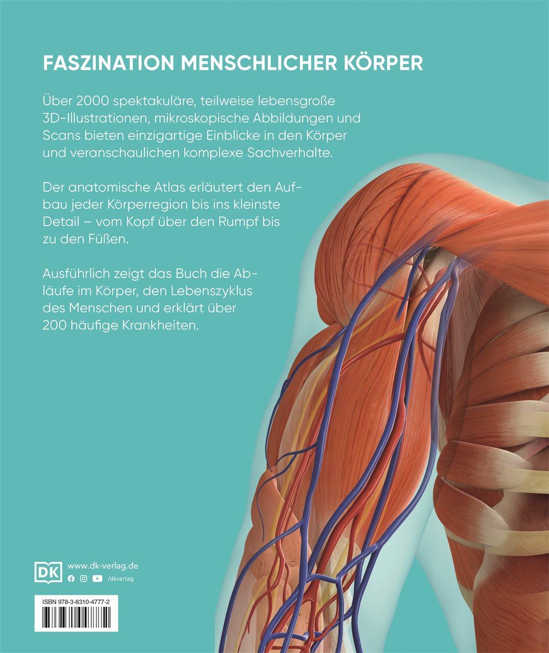 Rückseite: 9783831047772 | Anatomie und Physiologie | Alice Roberts | Buch | 536 S. | Deutsch