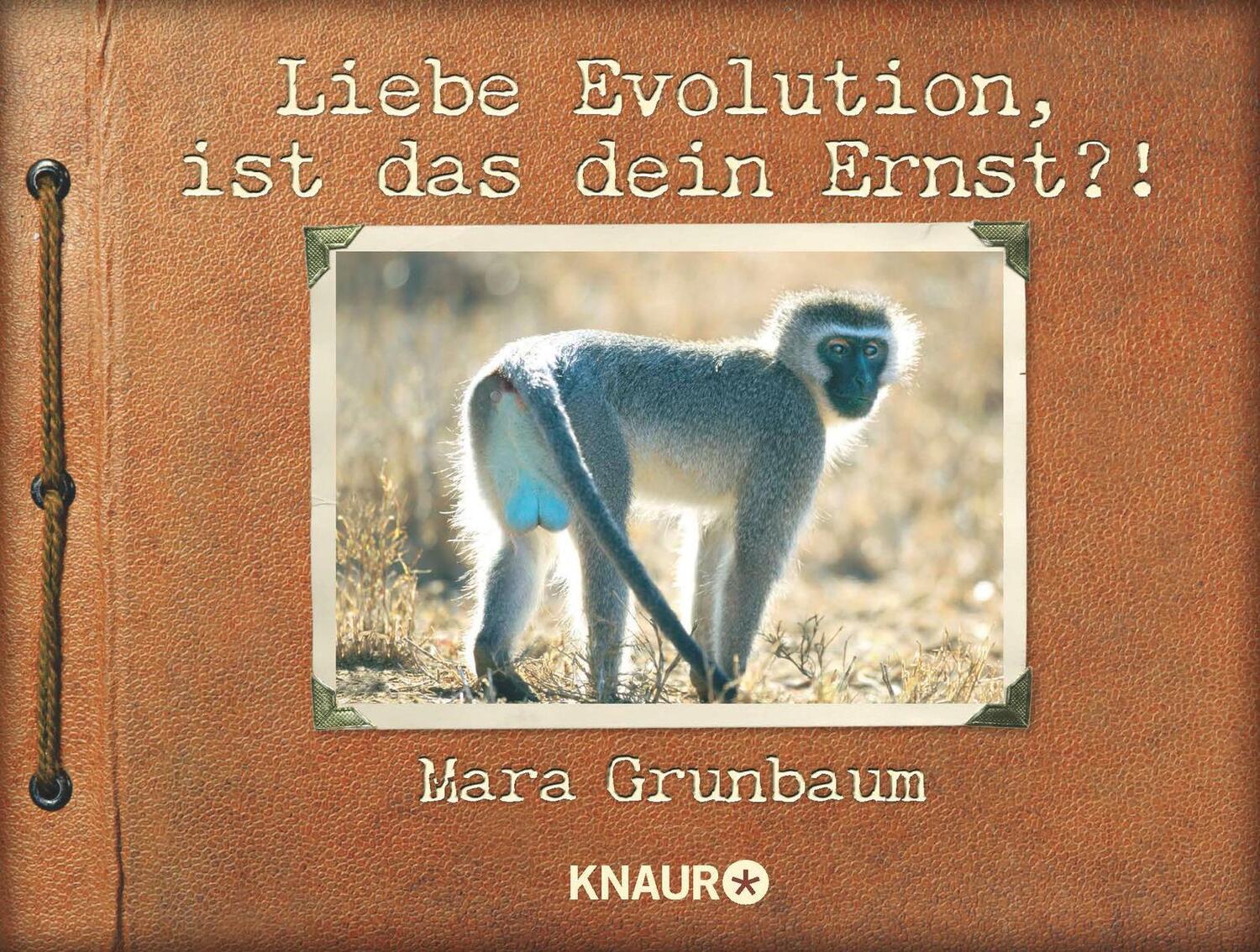 Cover: 9783426787038 | Liebe Evolution, ist das dein Ernst?! | Mara Grunbaum | Taschenbuch