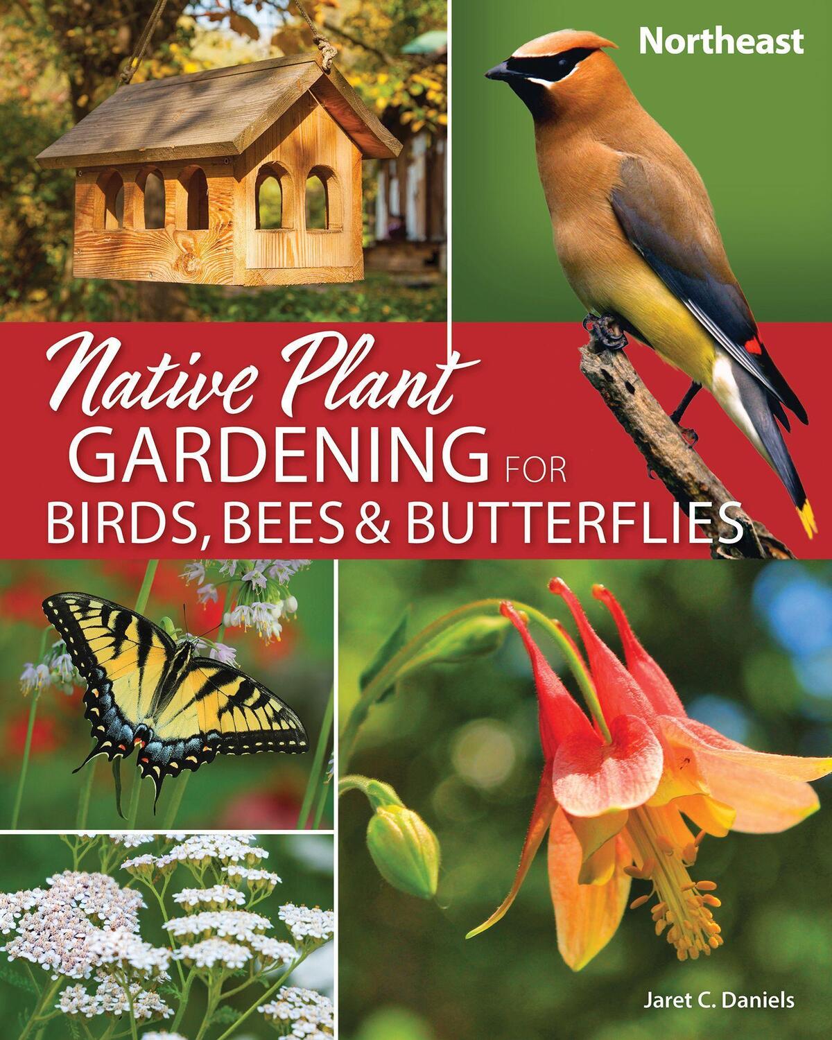 Cover: 9781647552534 | Native Plant Gardening for Birds, Bees & Butterflies: Northeast | Buch