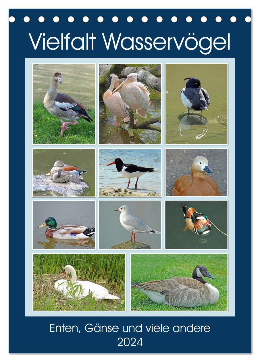Cover: 9783675529403 | Vielfalt Wasservögel (Tischkalender 2024 DIN A5 hoch), CALVENDO...
