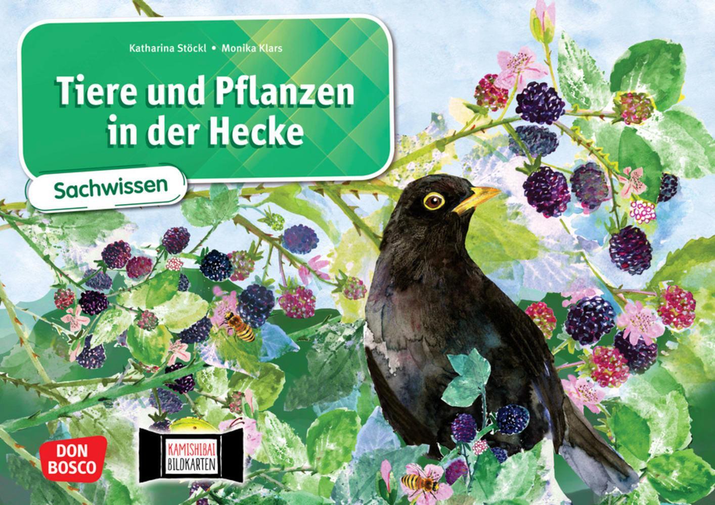 Cover: 4260179516733 | Tiere und Pflanzen in der Hecke. Kamishibai Bildkartenset | Box | 7 S.