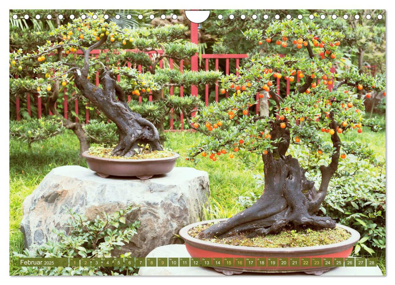 Bild: 9783457198117 | Gartenkunst aus Japan: Bonsai (Wandkalender 2025 DIN A4 quer),...