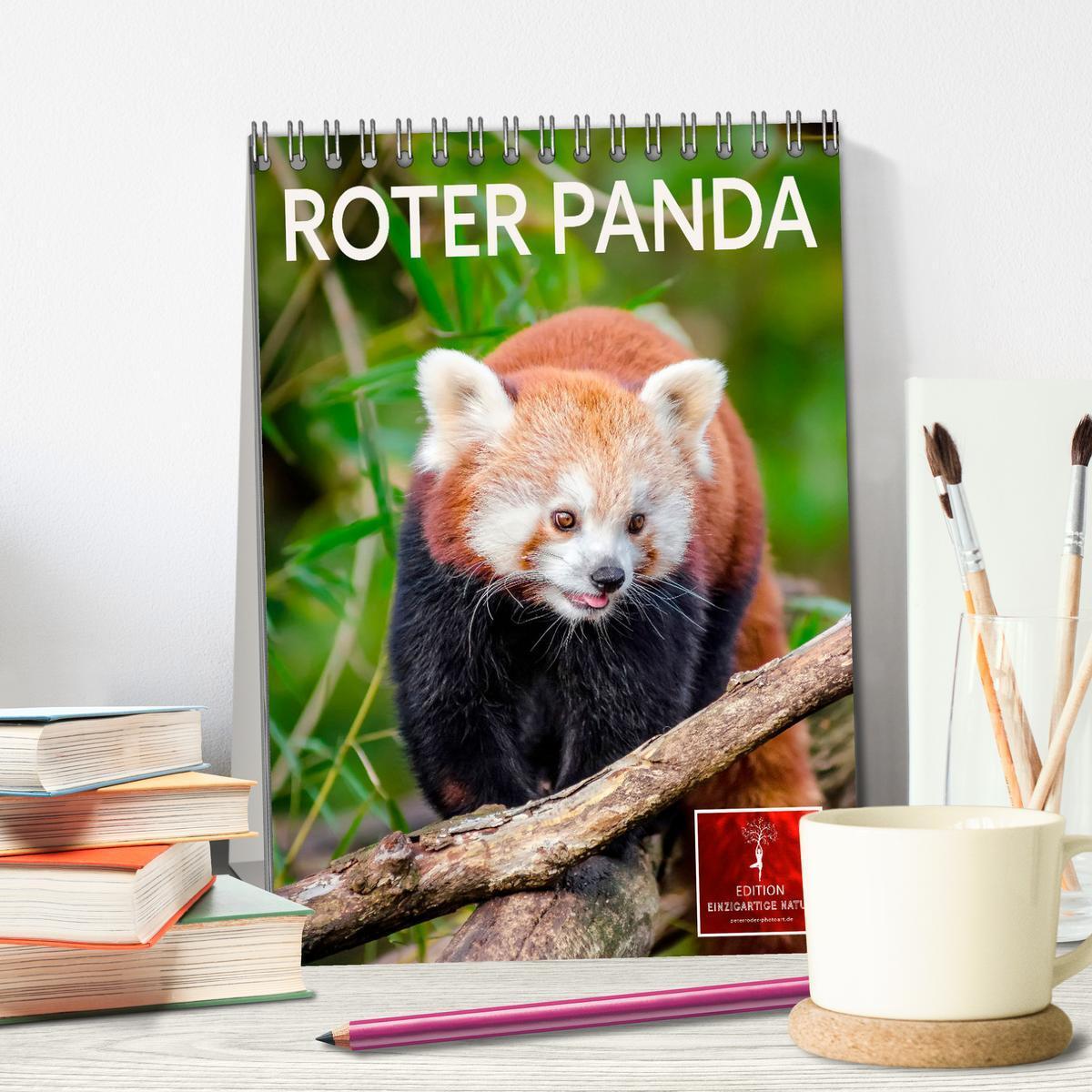 Bild: 9783435986422 | Roter Panda (Tischkalender 2025 DIN A5 hoch), CALVENDO Monatskalender