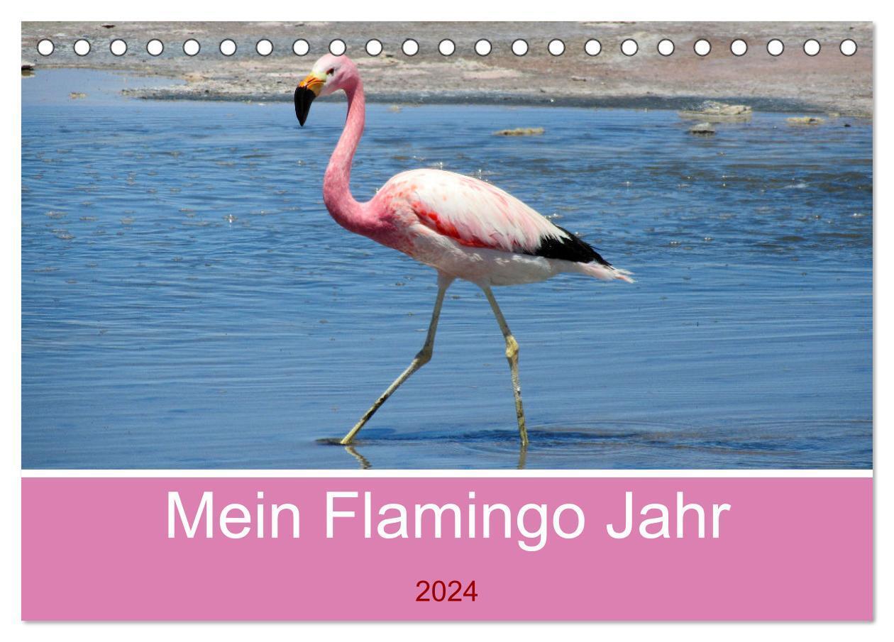 Cover: 9783675936393 | Mein Flamingo Jahr (Tischkalender 2024 DIN A5 quer), CALVENDO...
