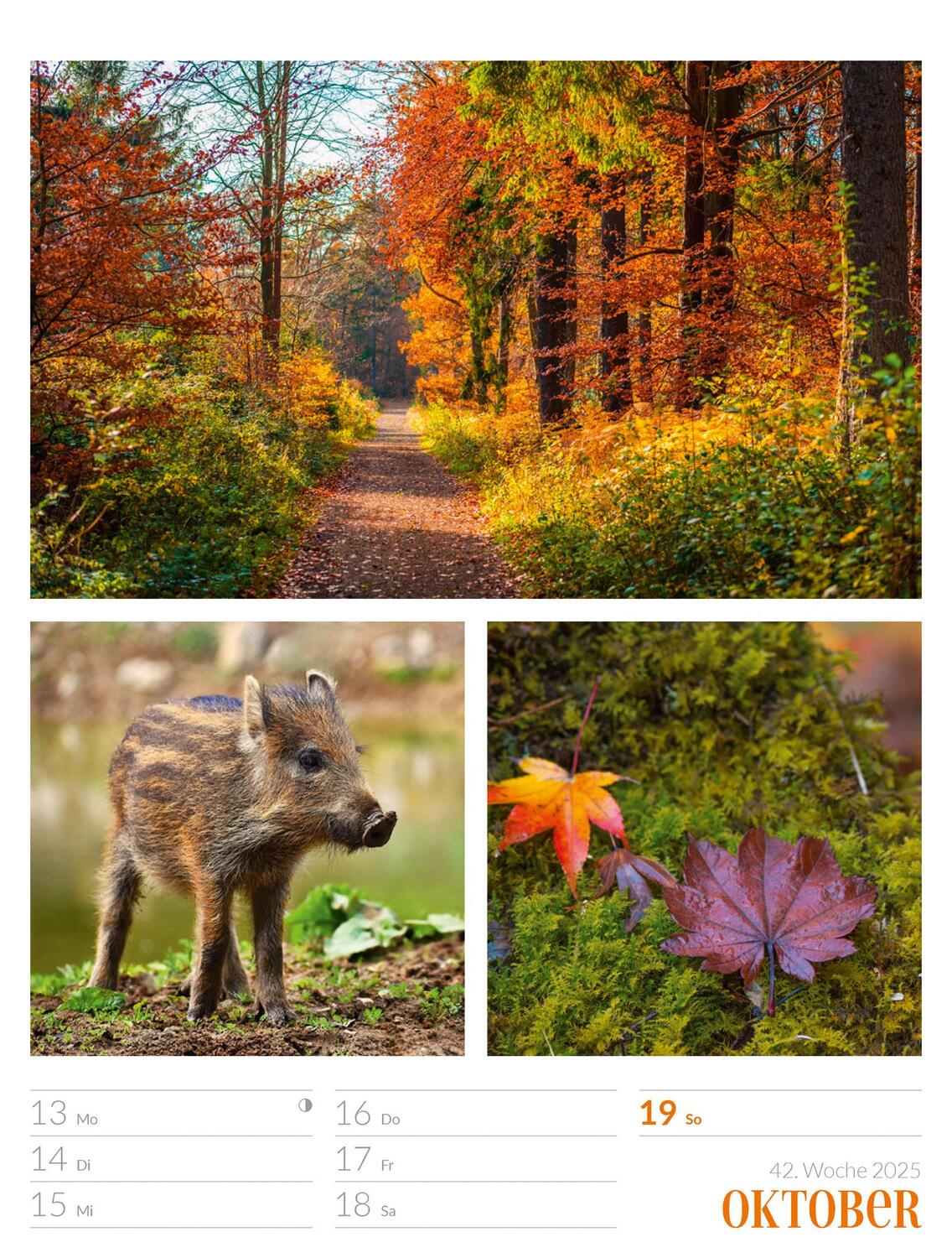 Bild: 9783838425818 | Farben der Natur - Wochenplaner Kalender 2025 | Ackermann Kunstverlag