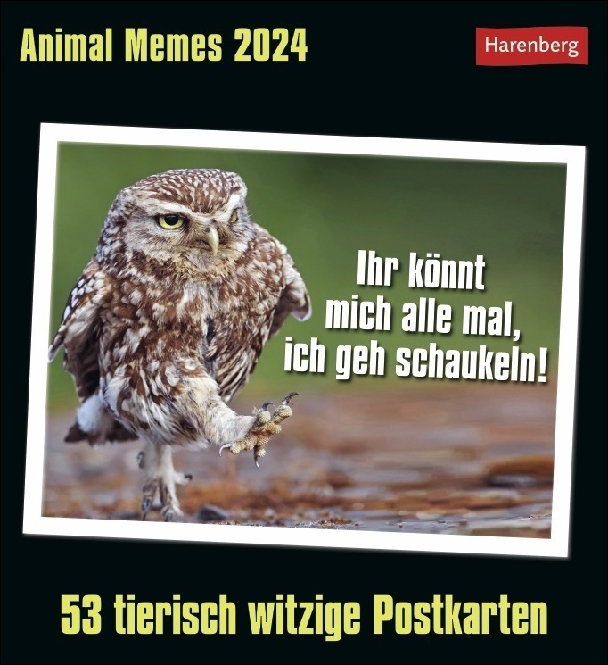 Cover: 9783840033223 | Animal Memes Postkartenkalender 2024. Witzige Tierfotos mal anders:...