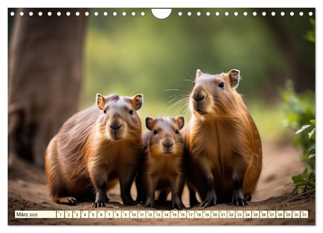 Bild: 9783457143759 | Capybaras - Wasserschweine die Herren der Gräser (Wandkalender 2025...