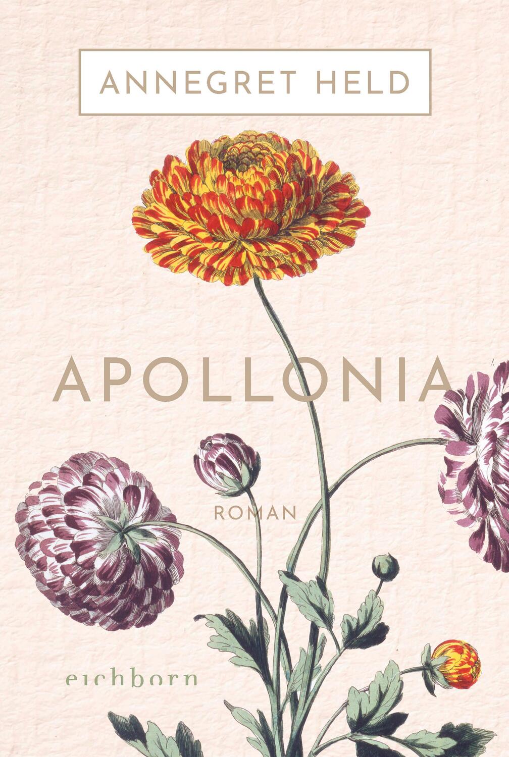 Cover: 9783847900603 | Apollonia | Roman | Annegret Held | Taschenbuch | Westerwald-Chronik