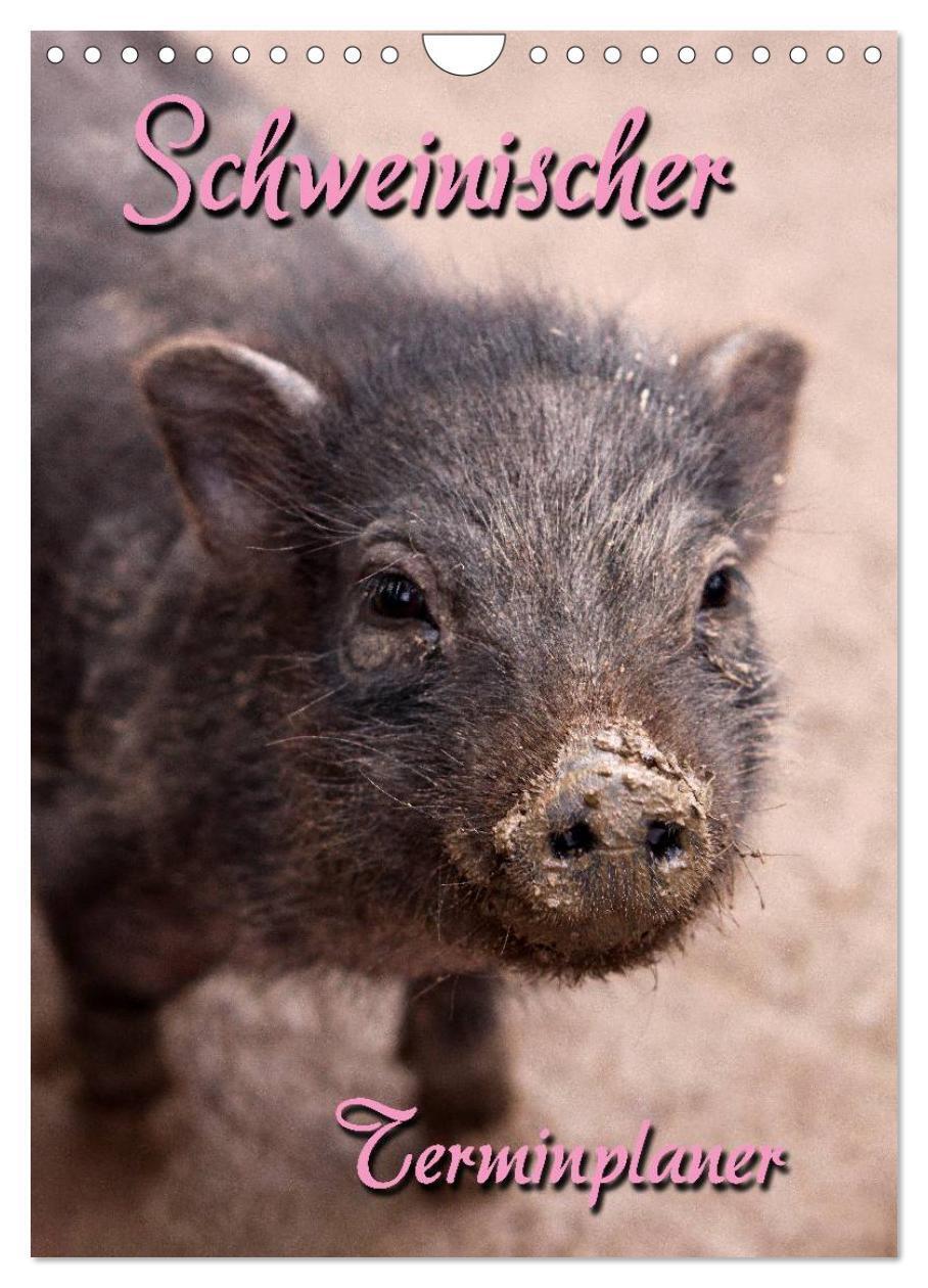 Cover: 9783457077214 | Schweinischer Terminplaner (Wandkalender 2025 DIN A4 hoch),...