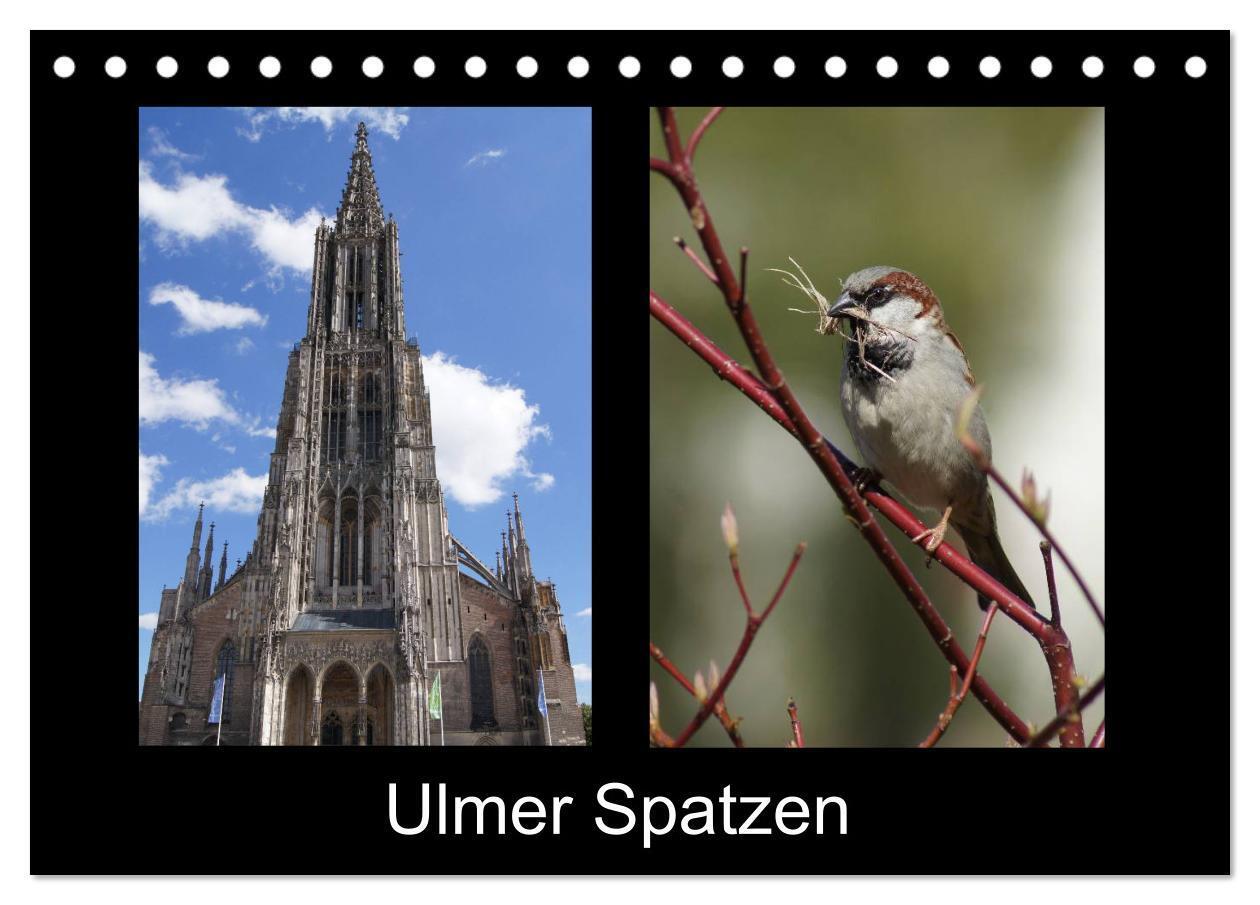 Cover: 9783675760158 | Ulmer Spatzen (Tischkalender 2024 DIN A5 quer), CALVENDO...