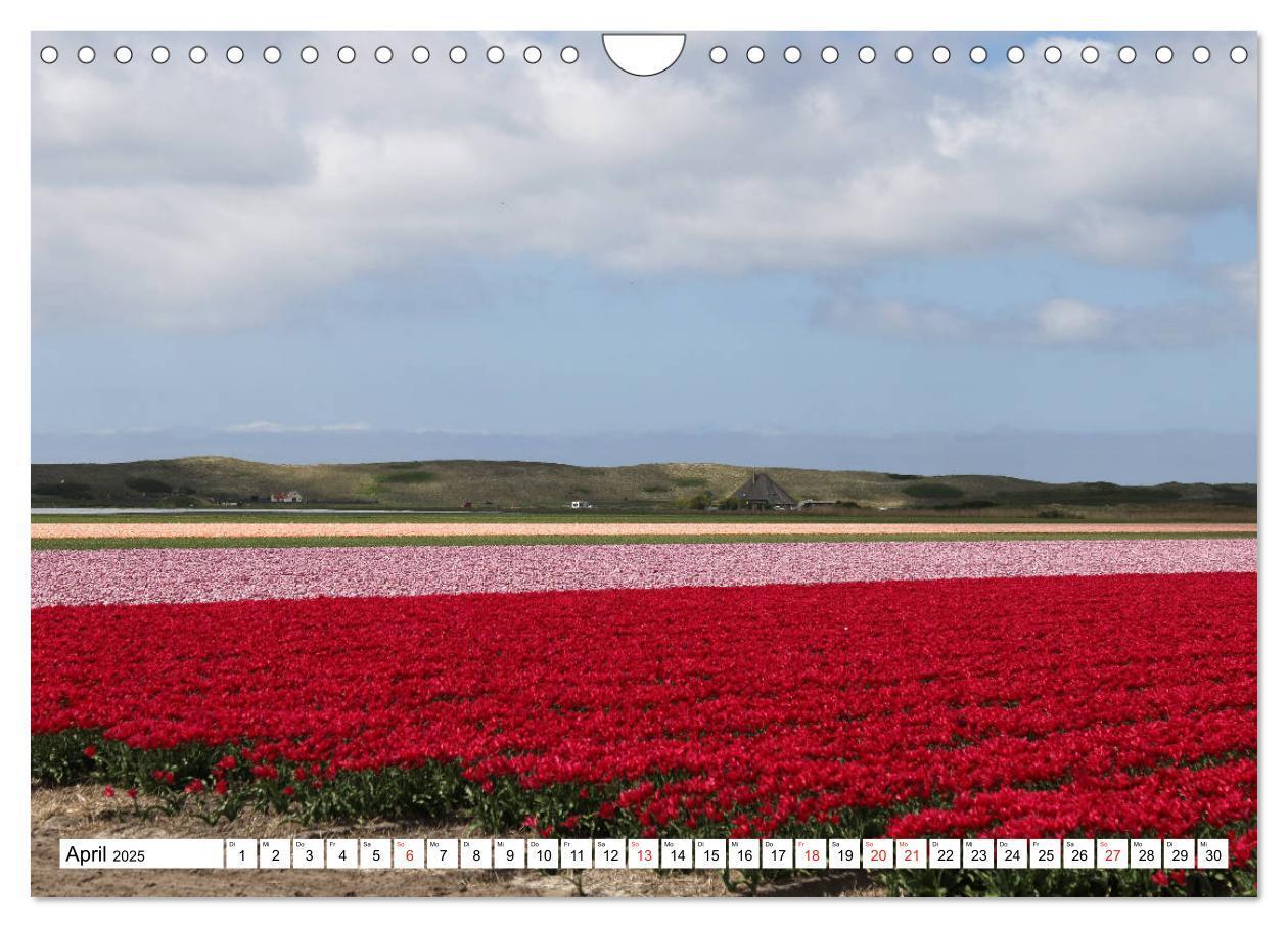 Bild: 9783435571444 | Callantsoog (Wandkalender 2025 DIN A4 quer), CALVENDO Monatskalender