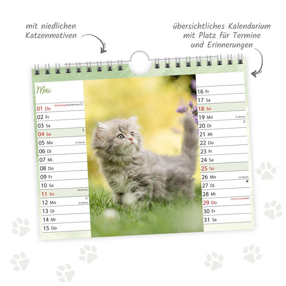 Bild: 9783988022493 | Trötsch Notizkalender Querformat Notizkalender Katzen 2025 mit 12...