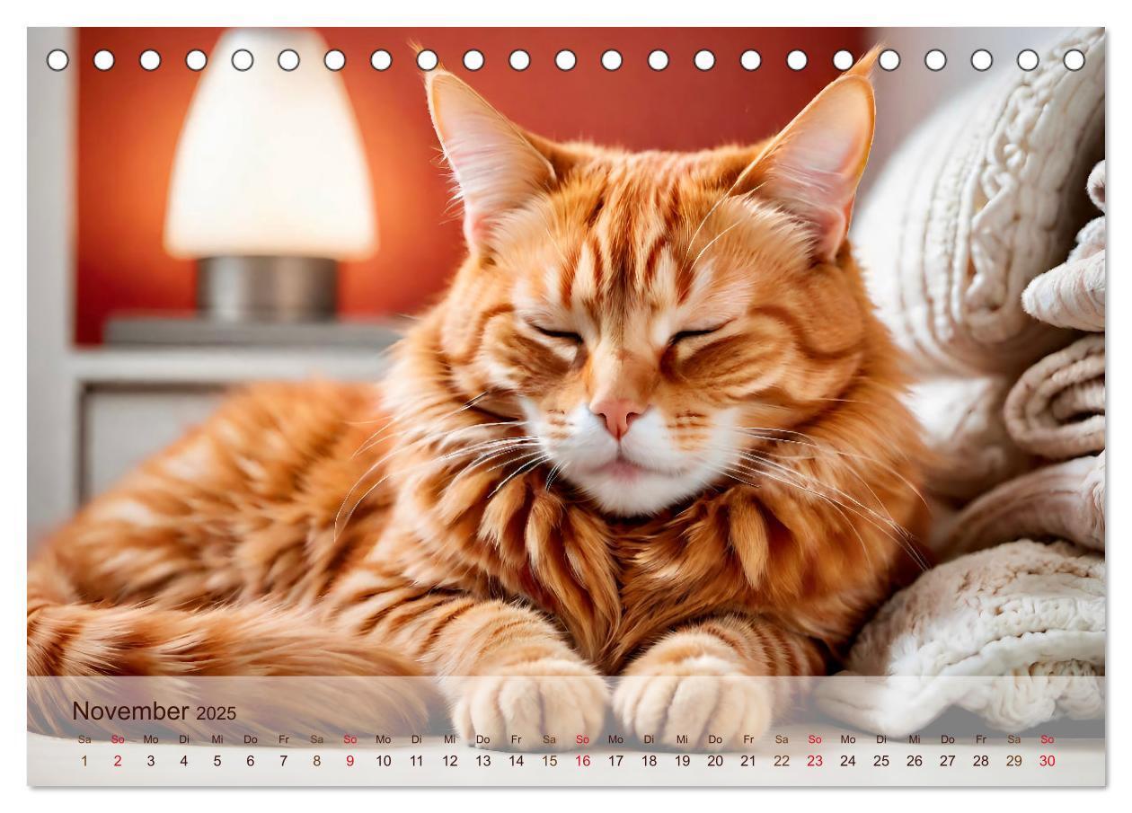 Bild: 9783383817885 | Rote Katzen (Tischkalender 2025 DIN A5 quer), CALVENDO Monatskalender