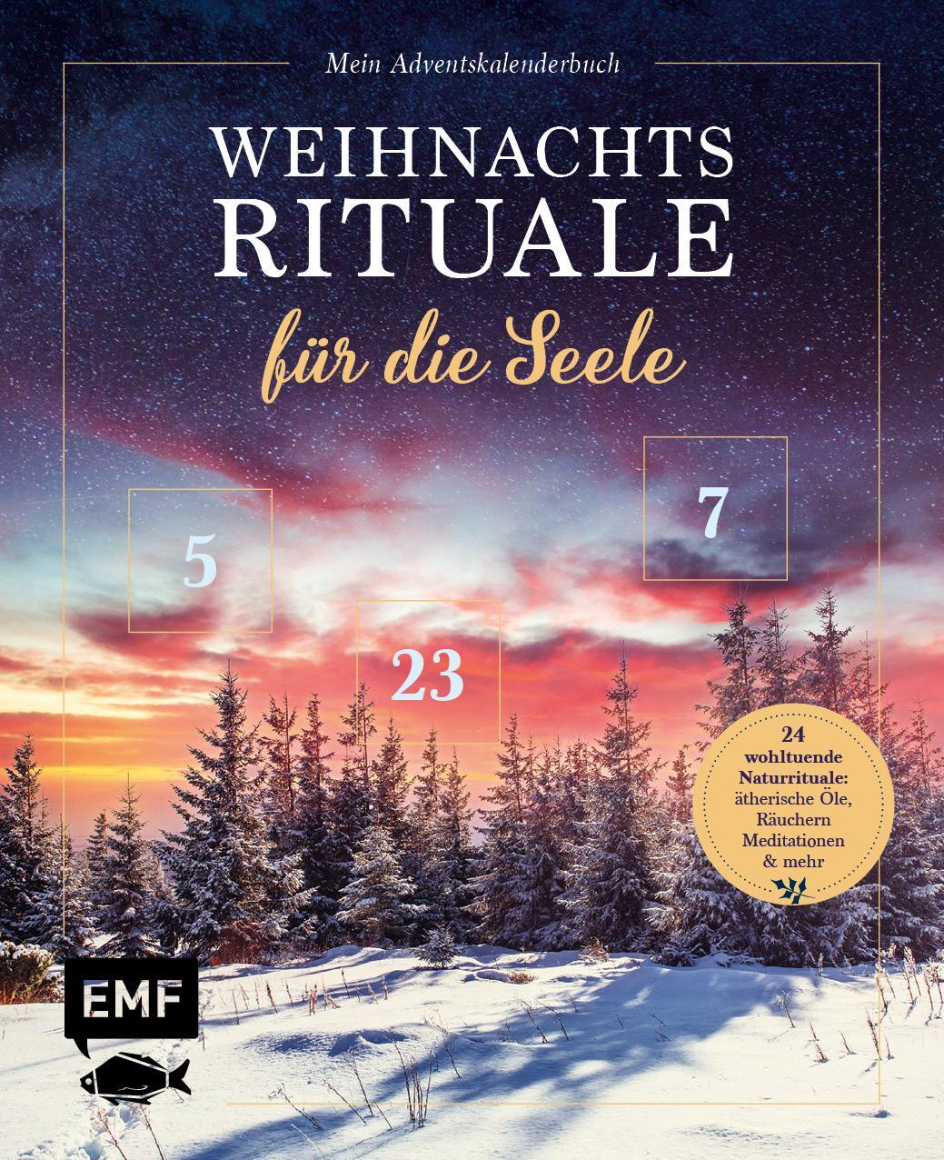 Cover: 9783745916003 | Mein Adventskalender-Buch: Weihnachtsrituale für die Seele | Buch