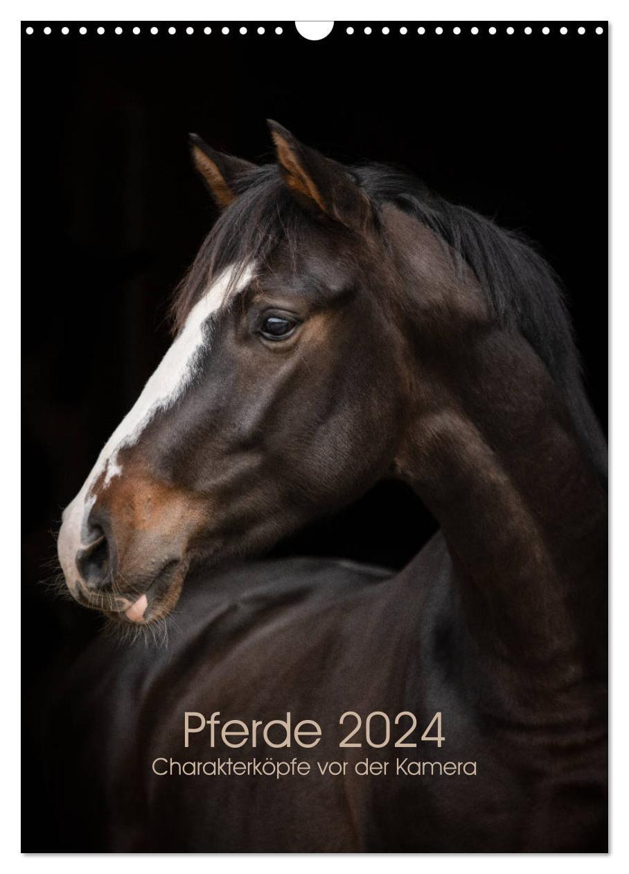 Cover: 9783675681491 | Pferde 2024 - Charakterköpfe vor der Kamera (Wandkalender 2024 DIN...