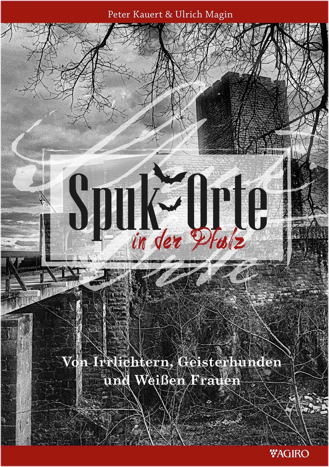 Cover: 9783946587415 | Spukorte in der Pfalz | Ulrich Magin | Buch | Deutsch | 2022