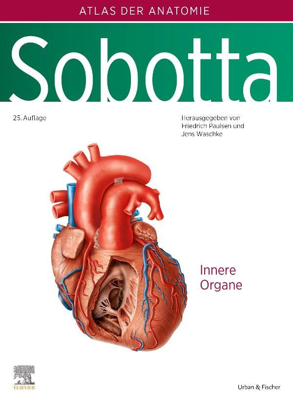 Cover: 9783437441400 | Sobotta, Atlas der Anatomie Band 2 | Innere Organe | Paulsen (u. a.)