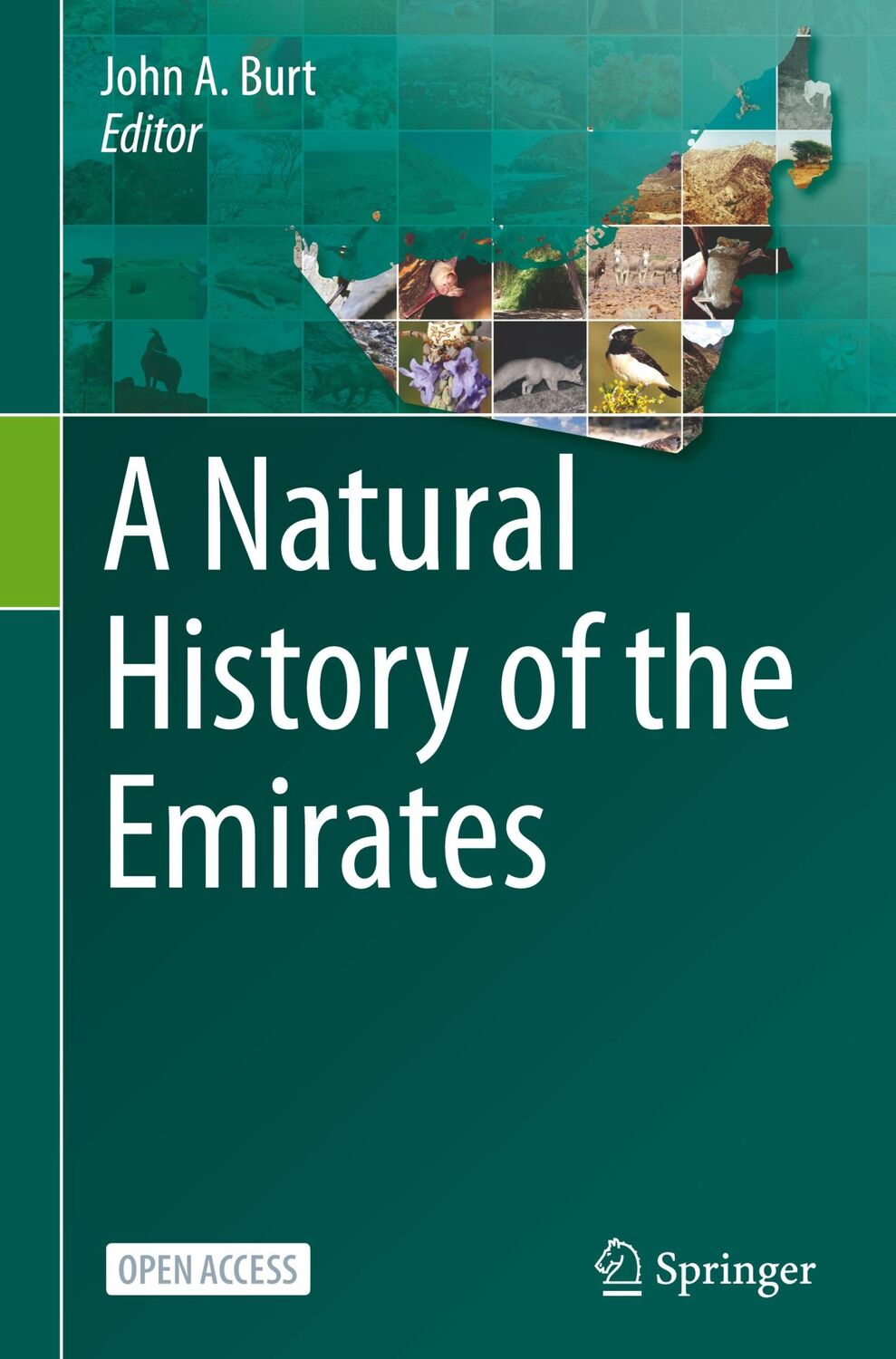 Cover: 9783031373961 | A Natural History of the Emirates | John A. Burt | Buch | xi | 2023