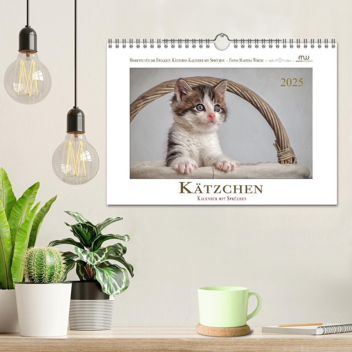 Bild: 9783435086696 | Kätzchen-Kalender mit Sprüchen (Wandkalender 2025 DIN A4 quer),...