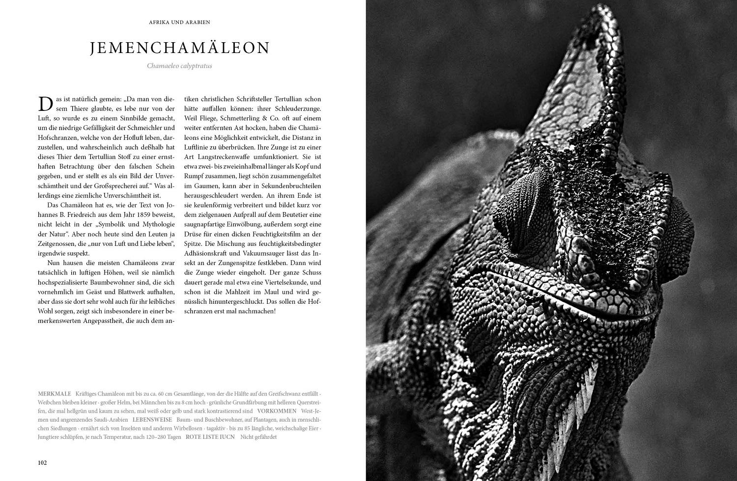 Bild: 9783866595217 | REPTILIA | Köpfe der Urzeit | Tom Krausz (u. a.) | Buch | 224 S.