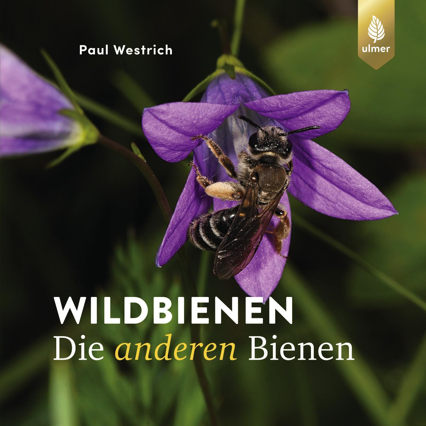 Cover: 9783818620868 | Wildbienen, die anderen Bienen | Paul Westrich | Buch | 208 S. | 2024