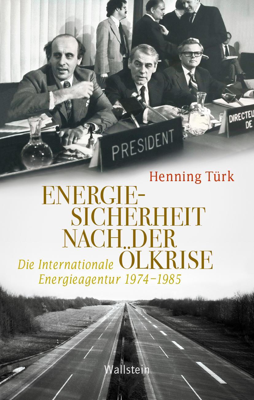 Cover: 9783835354845 | Energiesicherheit nach der Ölkrise | Henning Türk | Buch | 220 S.