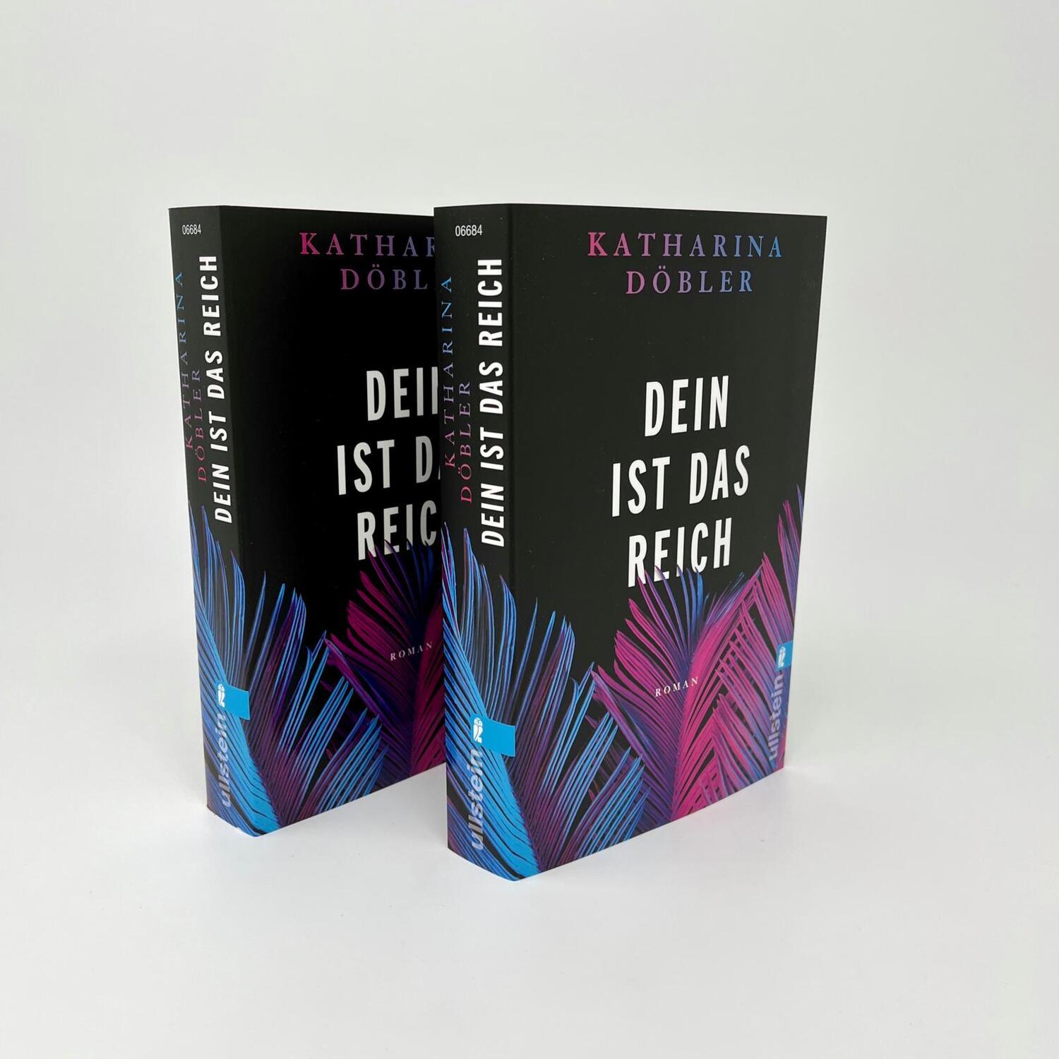 Bild: 9783548066844 | Dein ist das Reich | Katharina Döbler | Taschenbuch | 480 S. | Deutsch