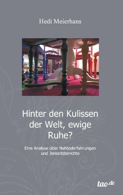 Cover: 9783955293420 | Hinter den Kulissen der Welt, ewige Ruhe? | Hedi Meierhans | Buch