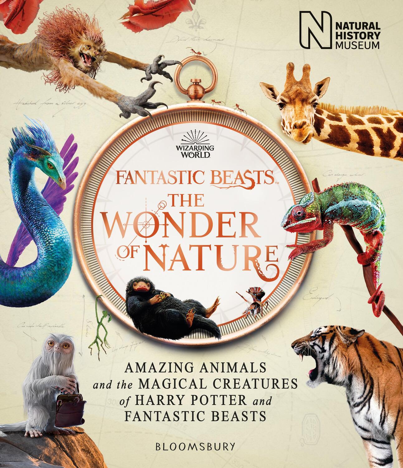 Cover: 9781526624031 | Fantastic Beasts: The Wonder of Nature | Natural History Museum | Buch