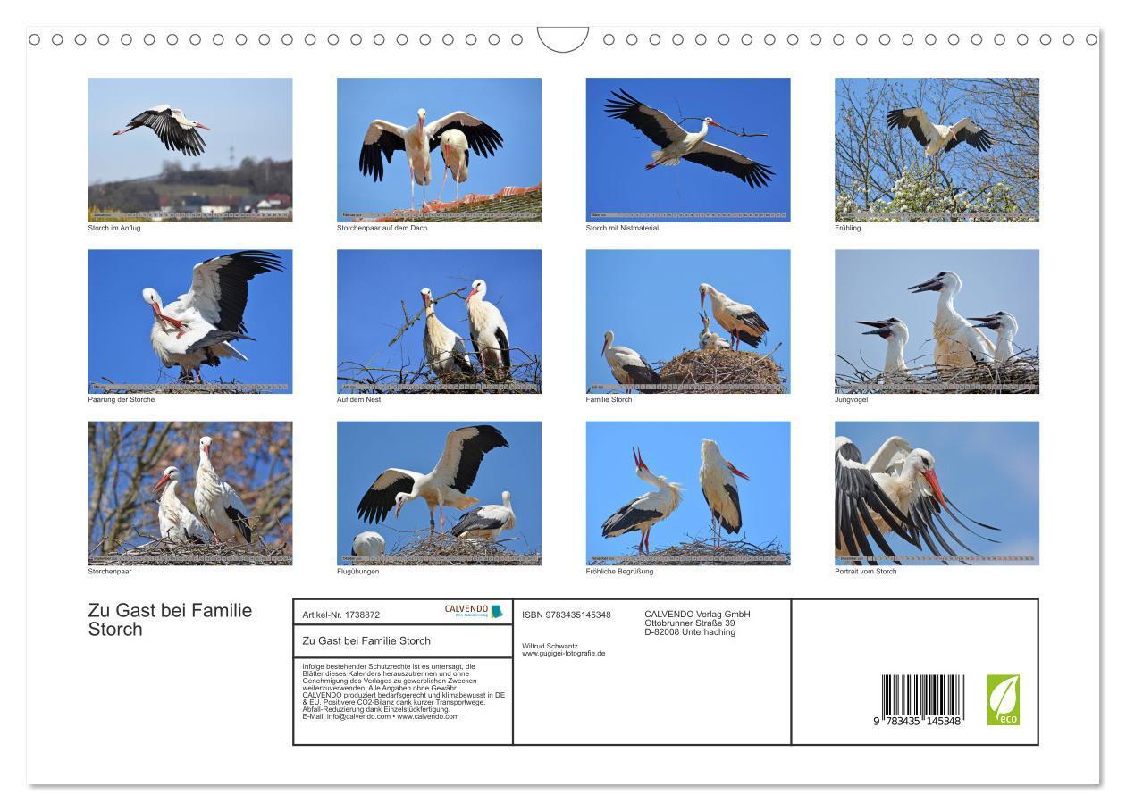 Bild: 9783435145348 | Zu Gast bei Familie Storch (Wandkalender 2025 DIN A3 quer),...