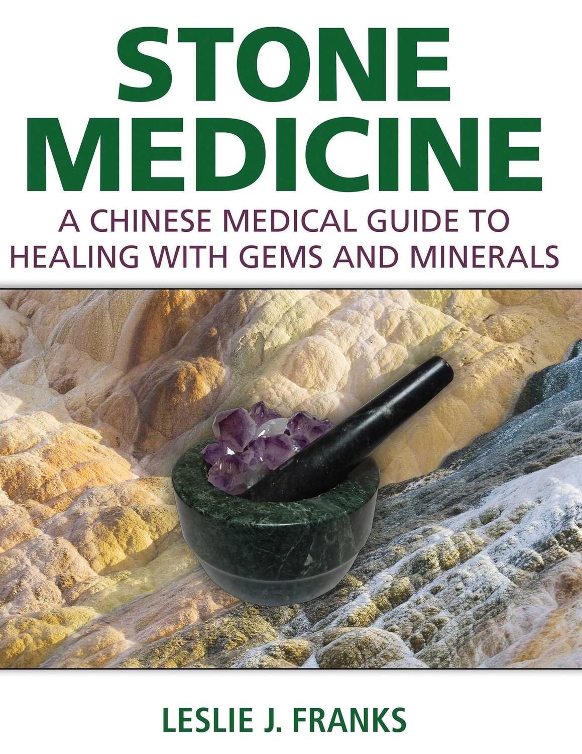 Cover: 9781620555293 | Stone Medicine | Leslie J. Franks | Buch | Gebunden | Englisch | 2016