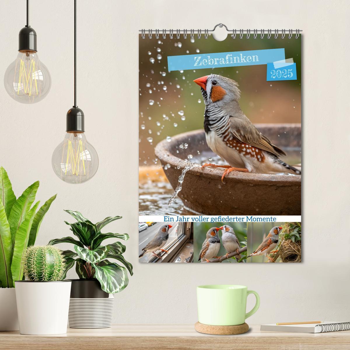 Bild: 9783457231104 | Zebrafinken - Ein Jahr voller gefiederter Momente (Wandkalender...