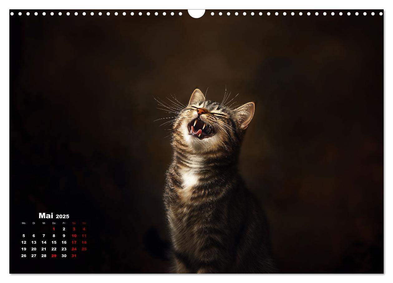 Bild: 9783457202005 | Auch Katzen lachen gern (Wandkalender 2025 DIN A3 quer), CALVENDO...