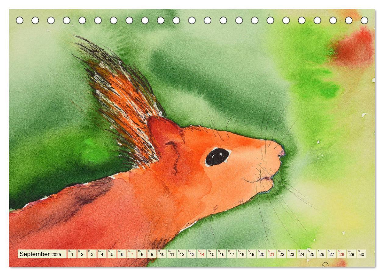 Bild: 9783435404124 | Eichhörnchen in Aquarell (Tischkalender 2025 DIN A5 quer), CALVENDO...