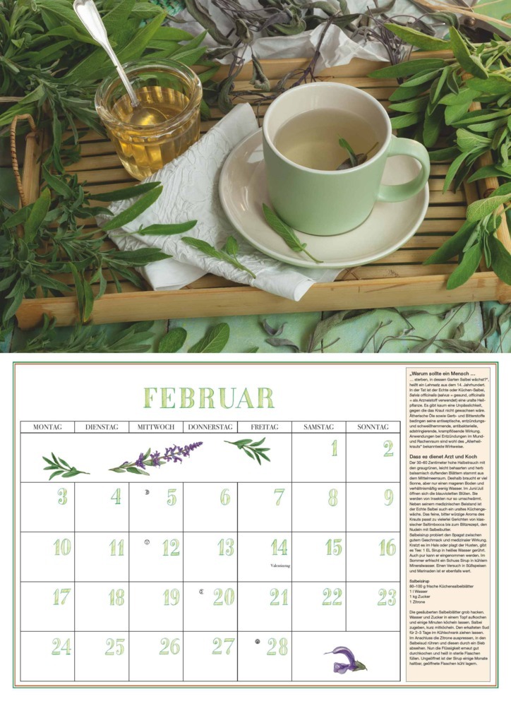 Bild: 4250809652870 | DUMONT - DUMONTS Aromatische Kräuter 2025 Broschürenkalender,...