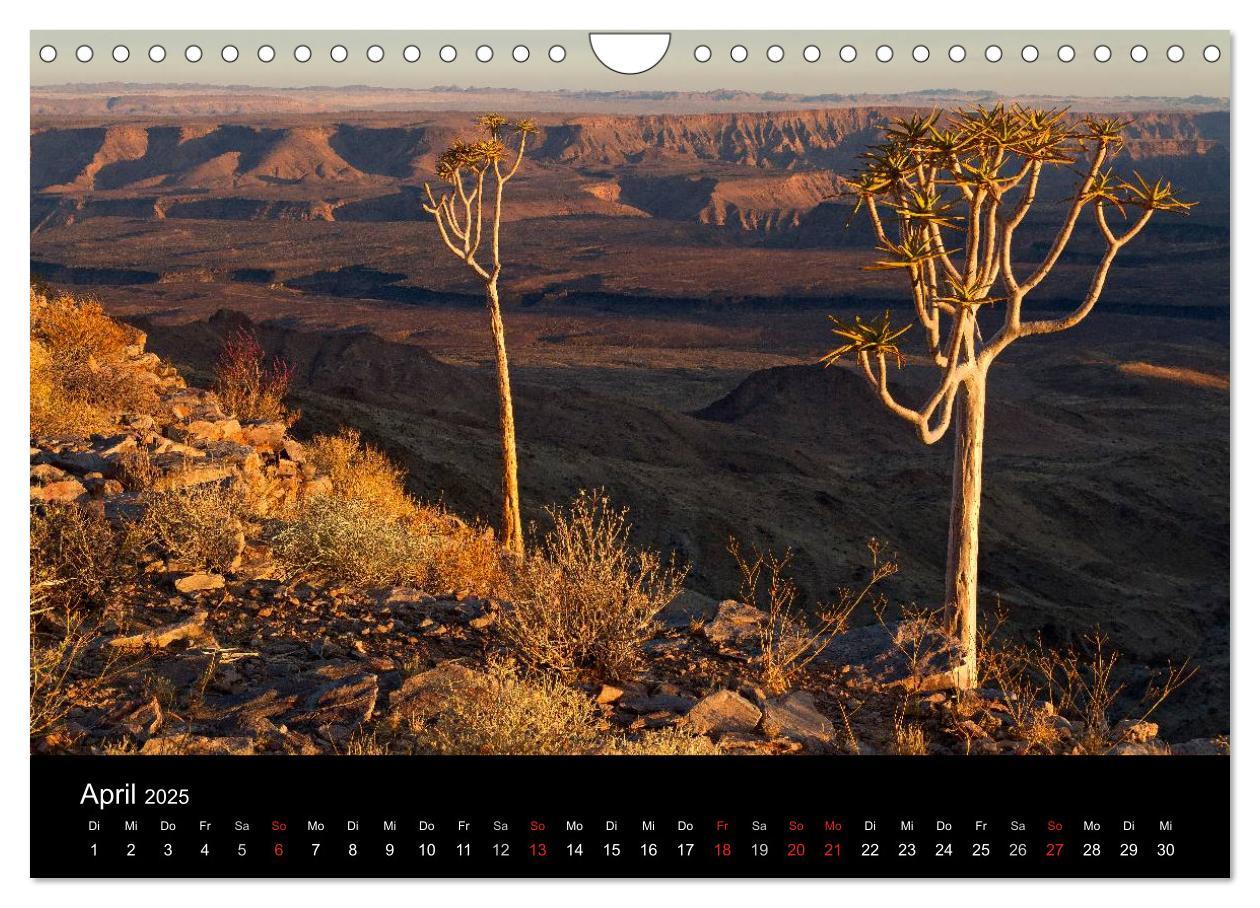 Bild: 9783435828906 | Fantastisches Namibia (Wandkalender 2025 DIN A4 quer), CALVENDO...