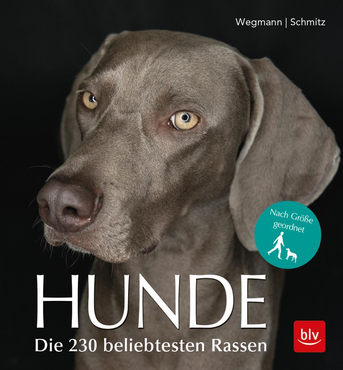 Cover: 9783835418561 | Hunde | Die 230 beliebtesten Rassen | Angela Wegmann (u. a.) | Buch