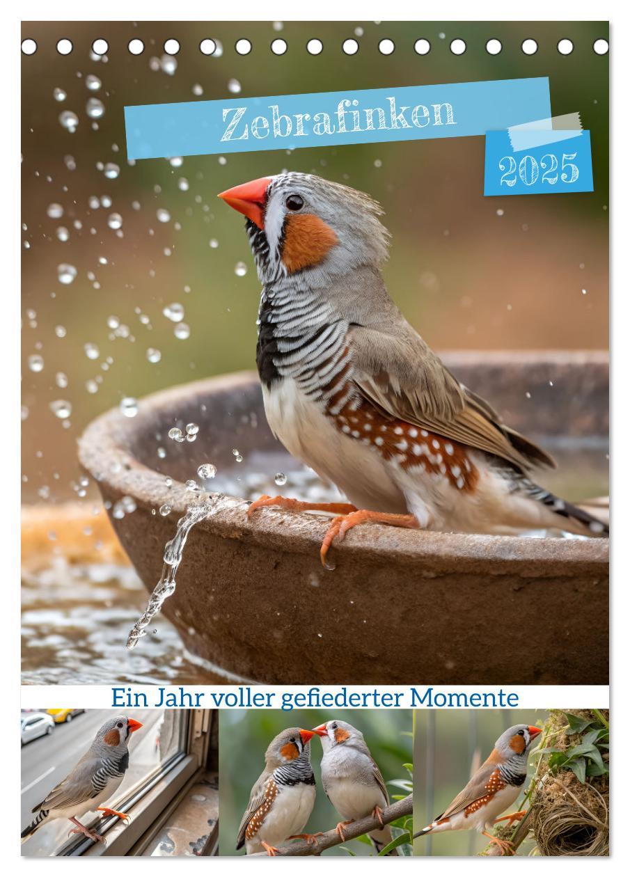 Cover: 9783457231265 | Zebrafinken - Ein Jahr voller gefiederter Momente (Tischkalender...