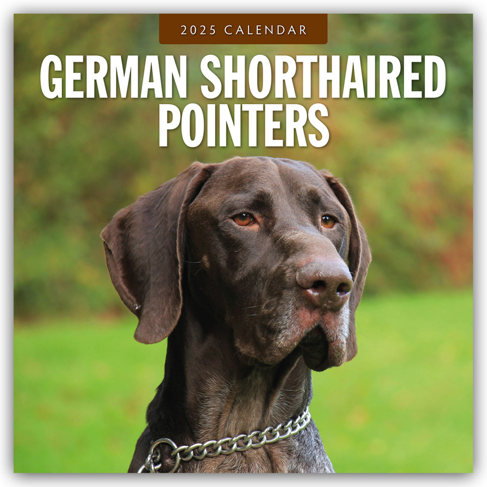 Cover: 9781804424681 | German Shorthaired Pointers - Deutscher Kurzhaar - Deutscher...