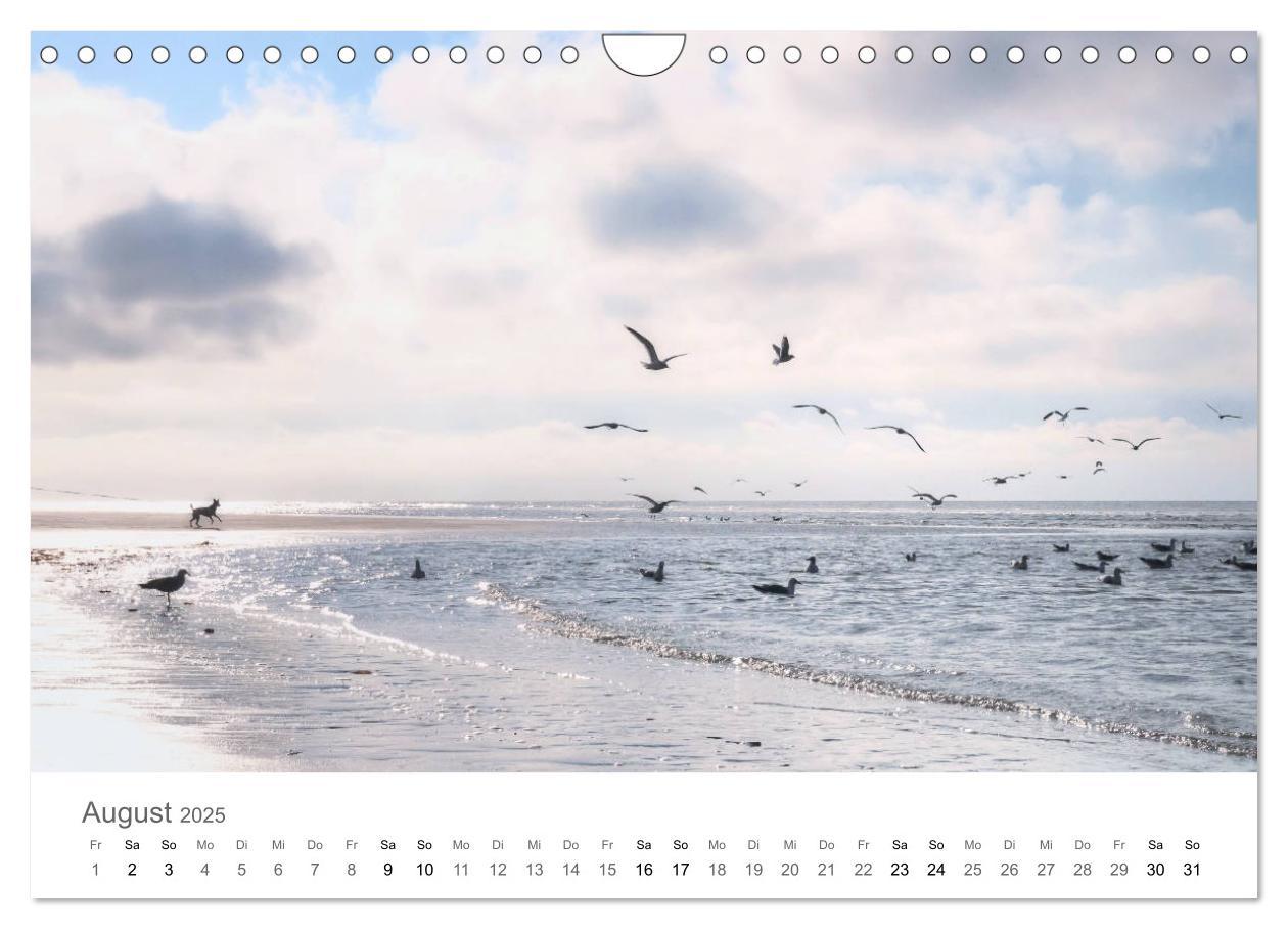 Bild: 9783435220045 | Nordfriesland (Wandkalender 2025 DIN A4 quer), CALVENDO Monatskalender