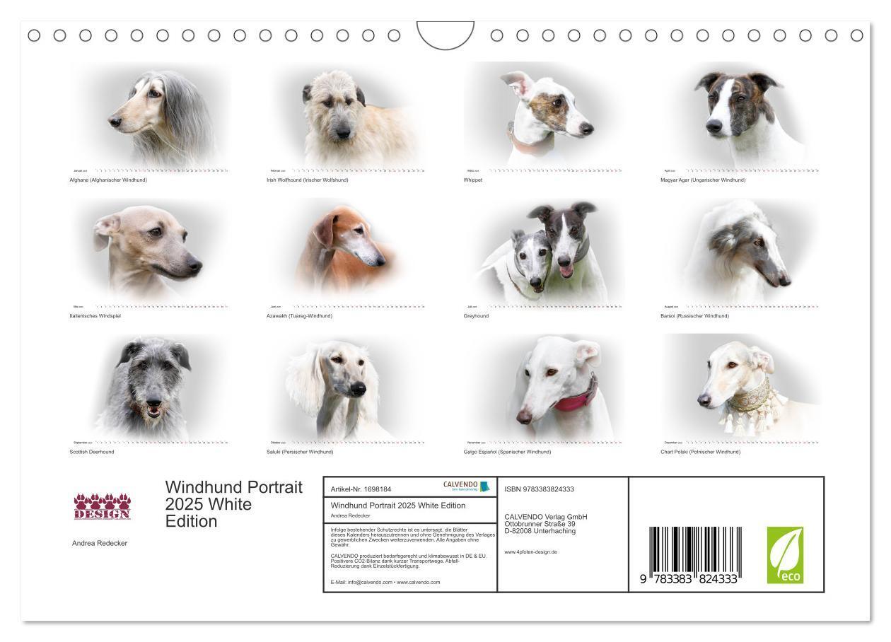 Bild: 9783383824333 | Windhund Portrait 2025 White Edition (Wandkalender 2025 DIN A4...