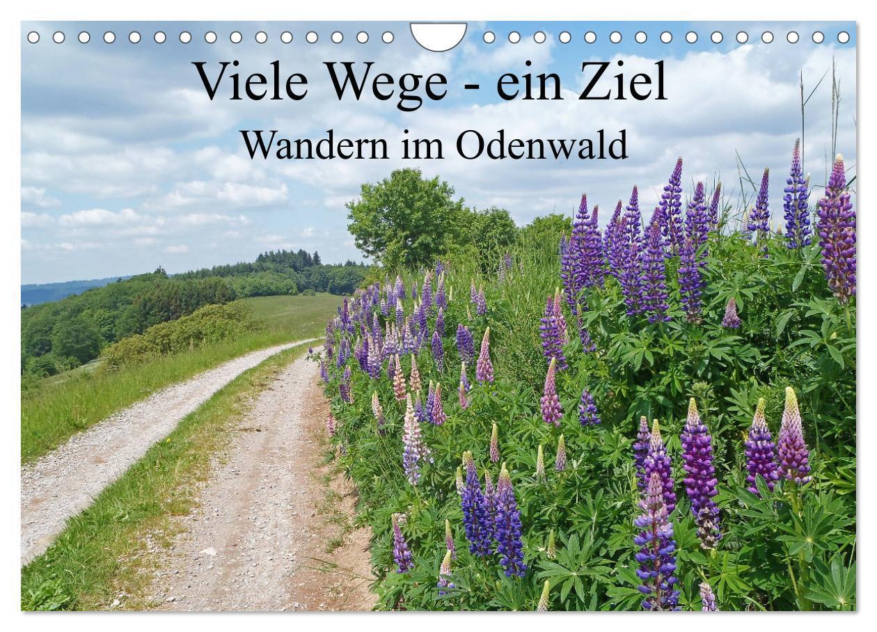 Cover: 9783675885264 | Viele Wege - ein Ziel Wandern im Odenwald (Wandkalender 2024 DIN A4...