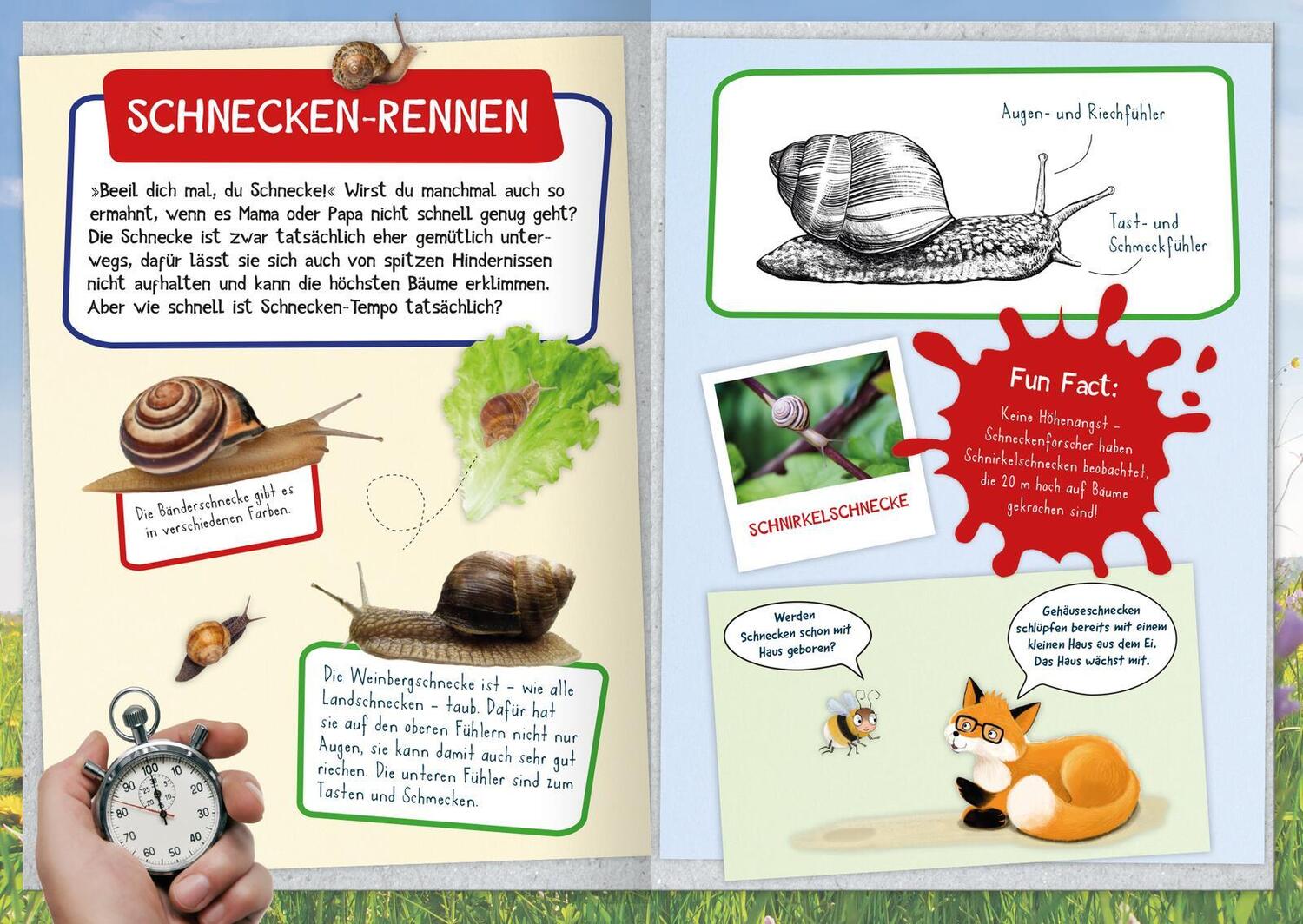 Bild: 9783845855400 | Naturforscher-Kids - Mein erstes Naturforscher-Buch | Eva Eich | Buch